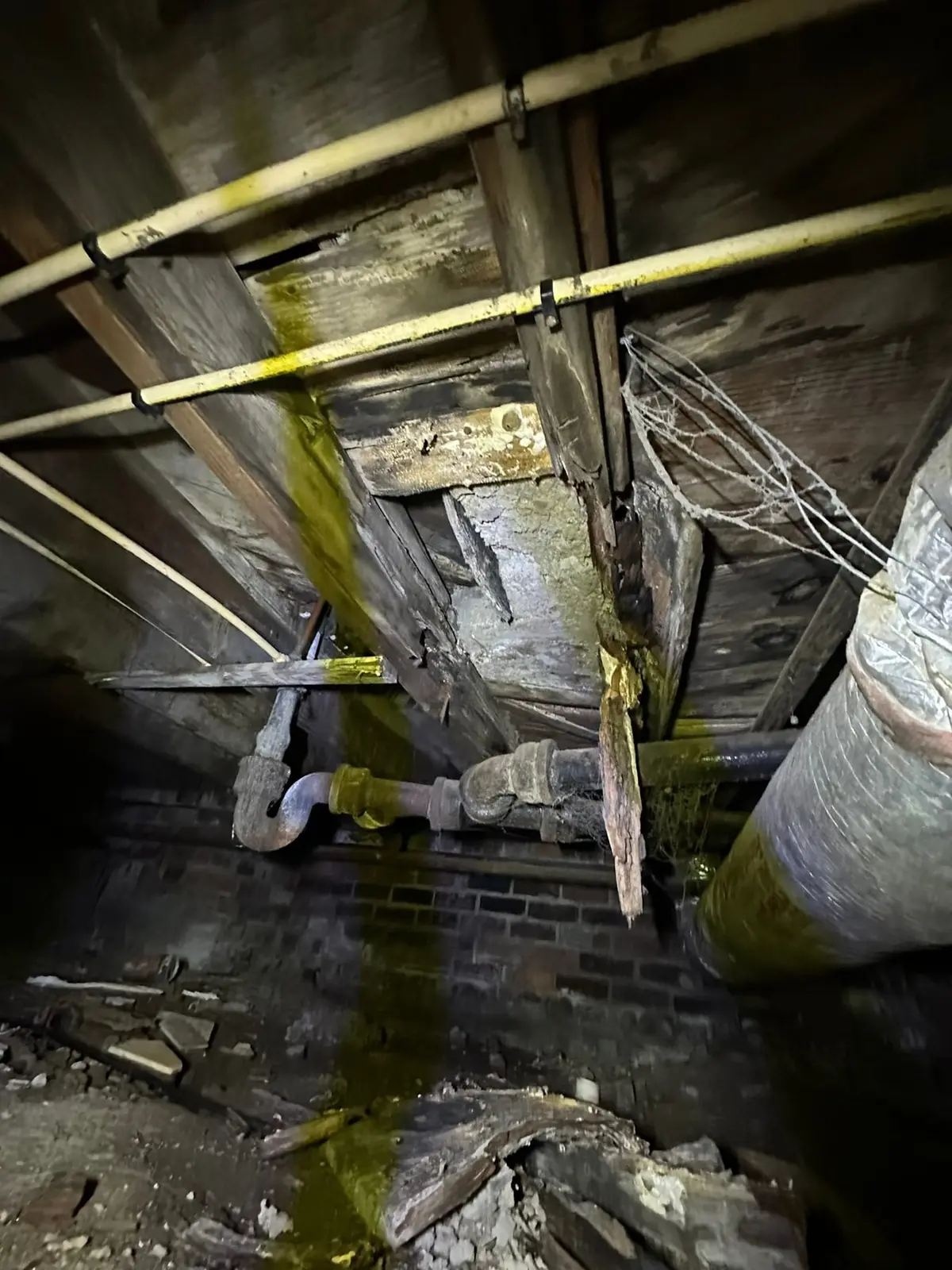 Rotted Bathroom Gutted, Floor Framing Rebuilt