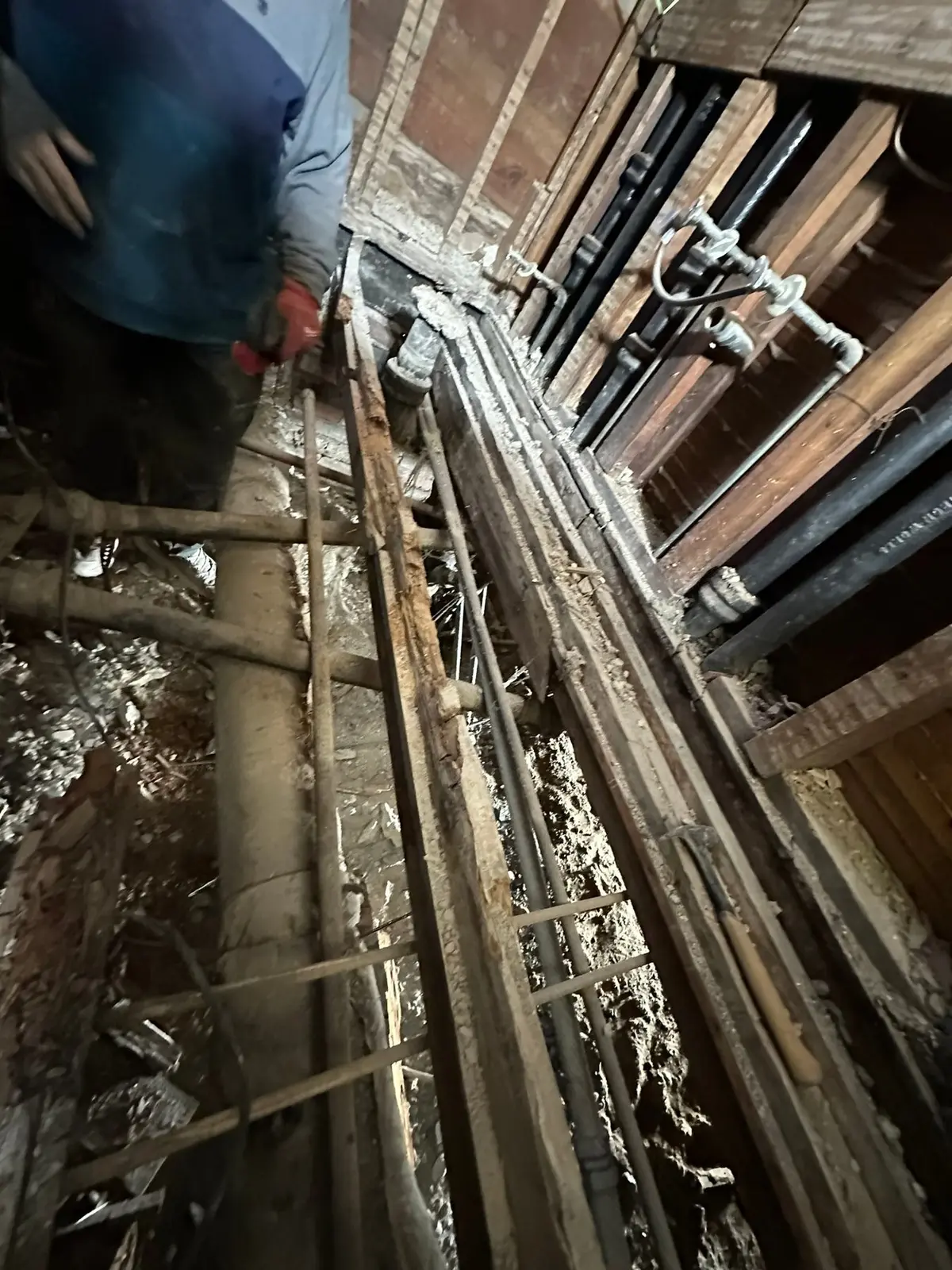 Rotted Bathroom Gutted, Floor Framing Rebuilt — Demo photo 8