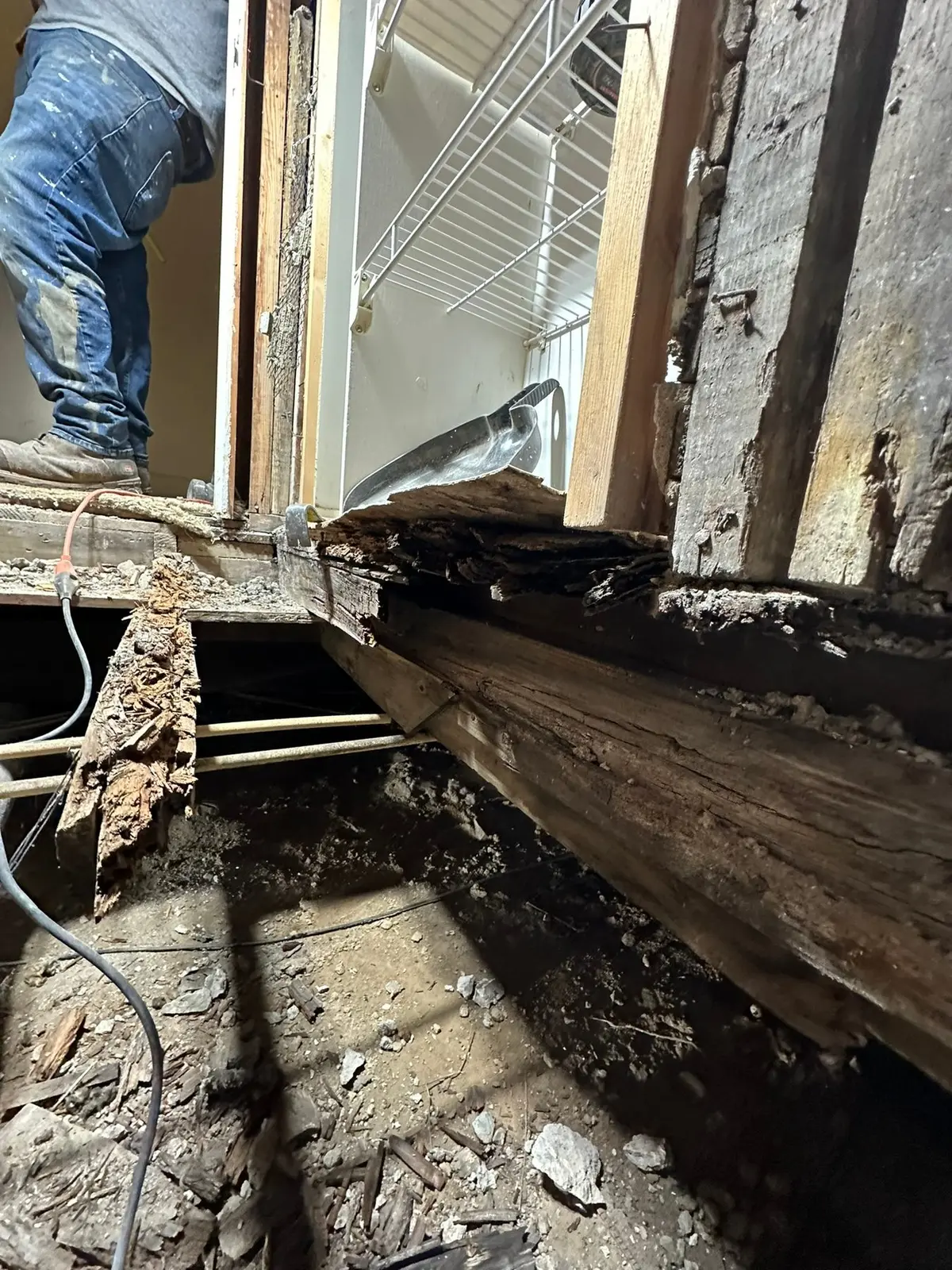 Rotted Bathroom Gutted, Floor Framing Rebuilt — Demo photo 10