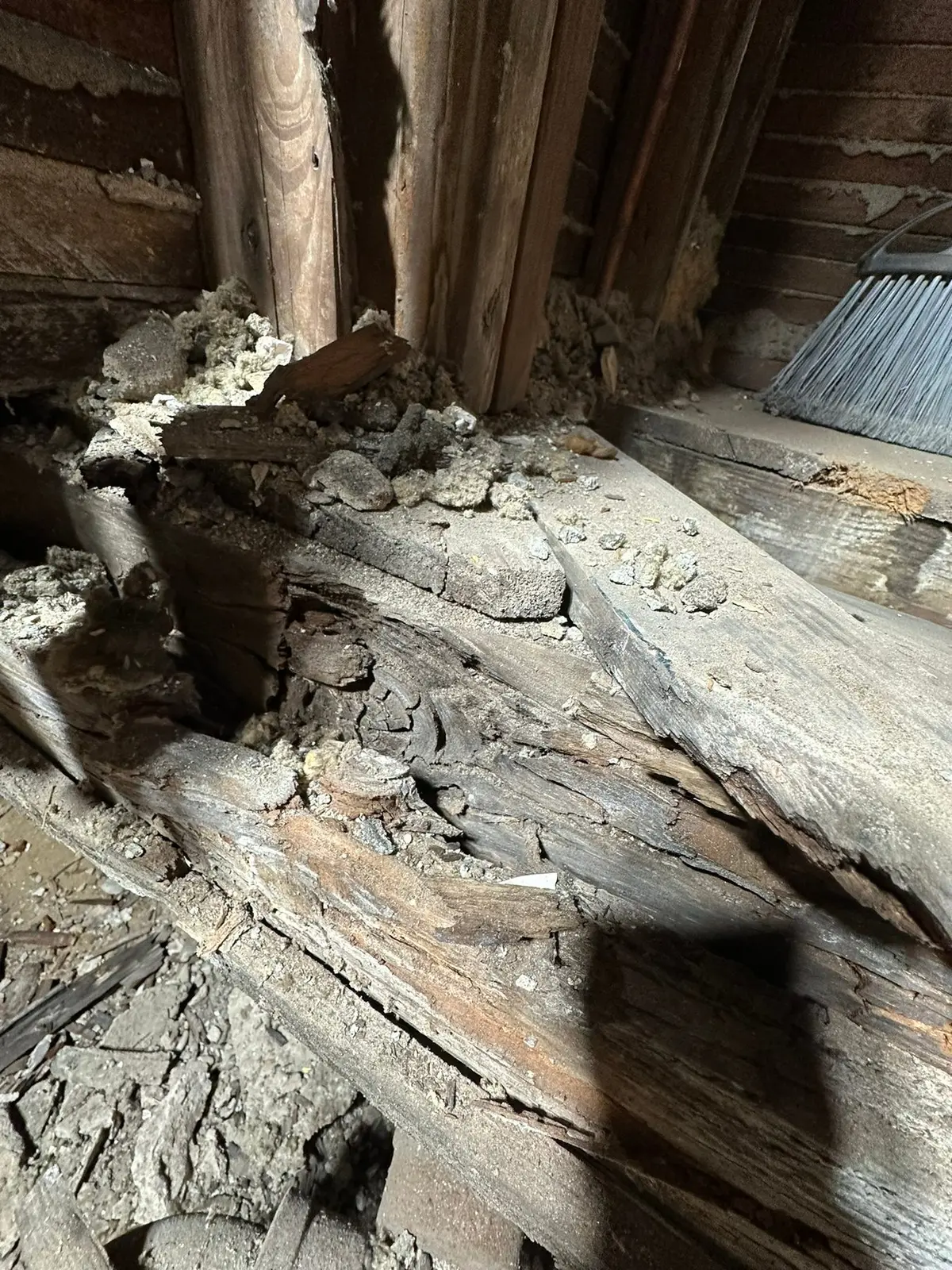 Rotted Bathroom Gutted, Floor Framing Rebuilt — Demo photo 11