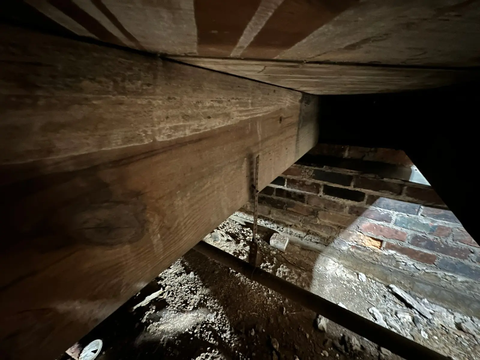 Rotted Bathroom Gutted, Floor Framing Rebuilt — Demo photo 13