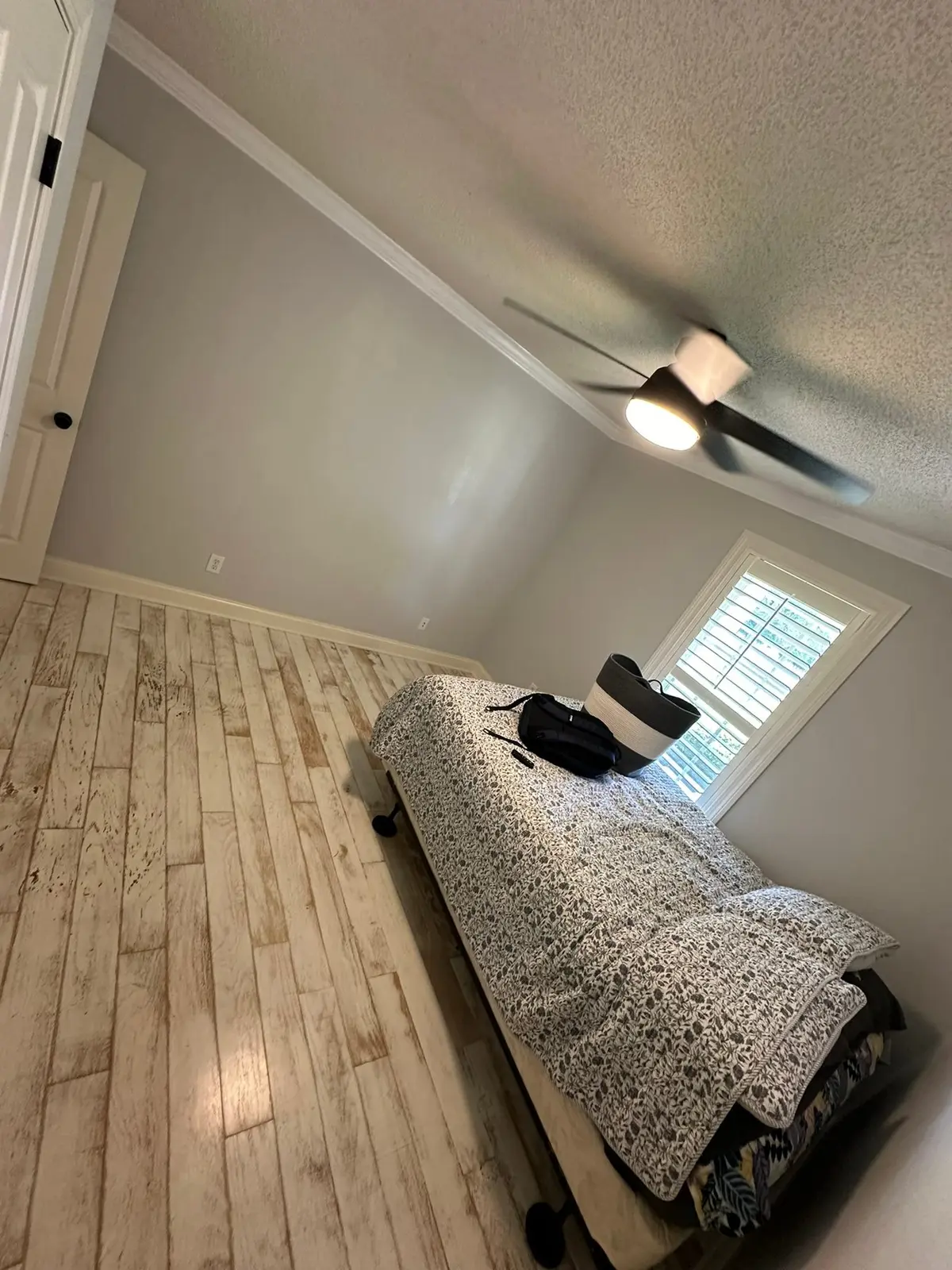 Bedrooms and Bathroom Repaint — finished photo 5