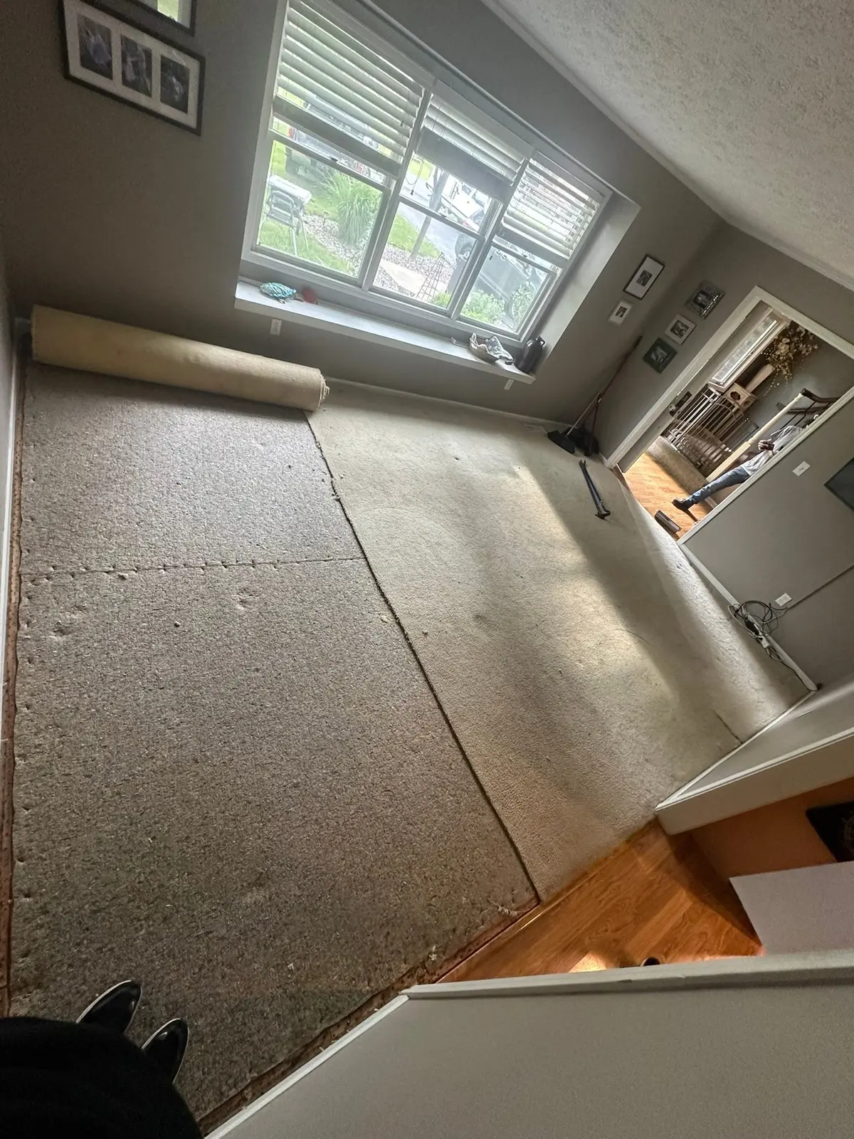 Before — Carpet and Old Floors Replaced with Wood-Look Plank