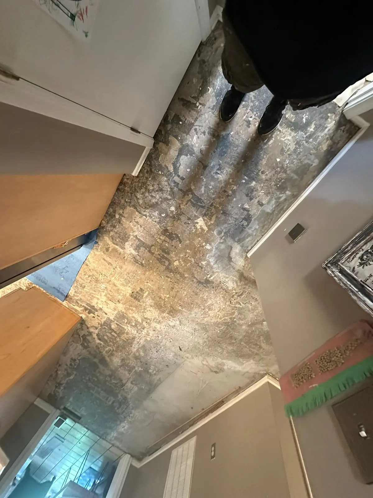 Carpet and Old Floors Replaced with Wood-Look Plank — Demo photo 2