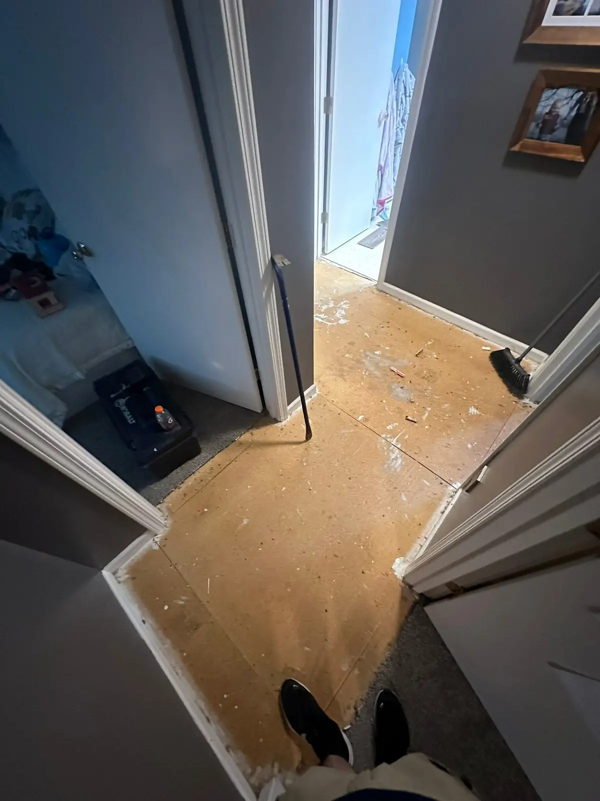 Carpet and Old Floors Replaced with Wood-Look Plank — Progress photo 1