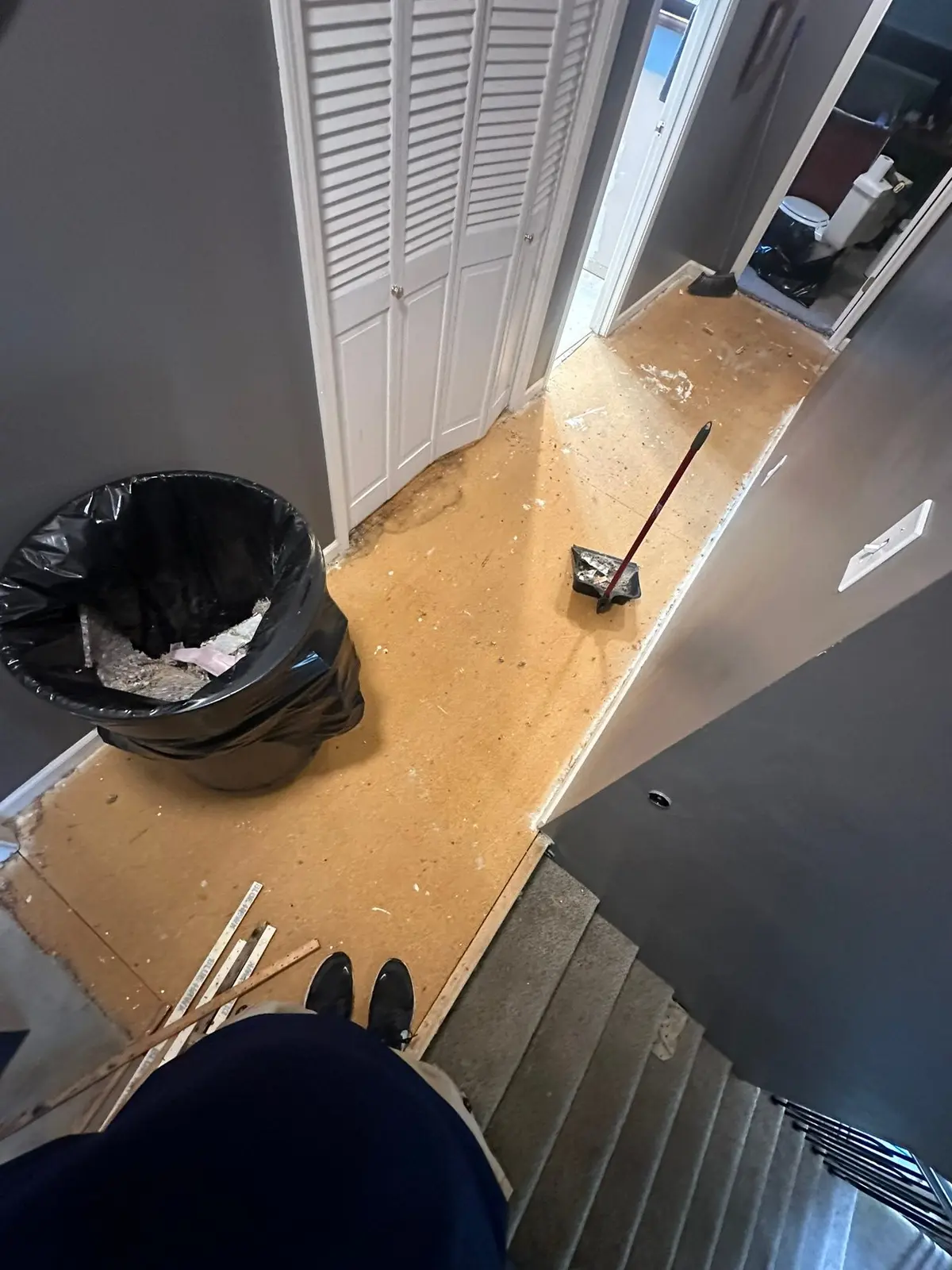 Carpet and Old Floors Replaced with Wood-Look Plank — Progress photo 2