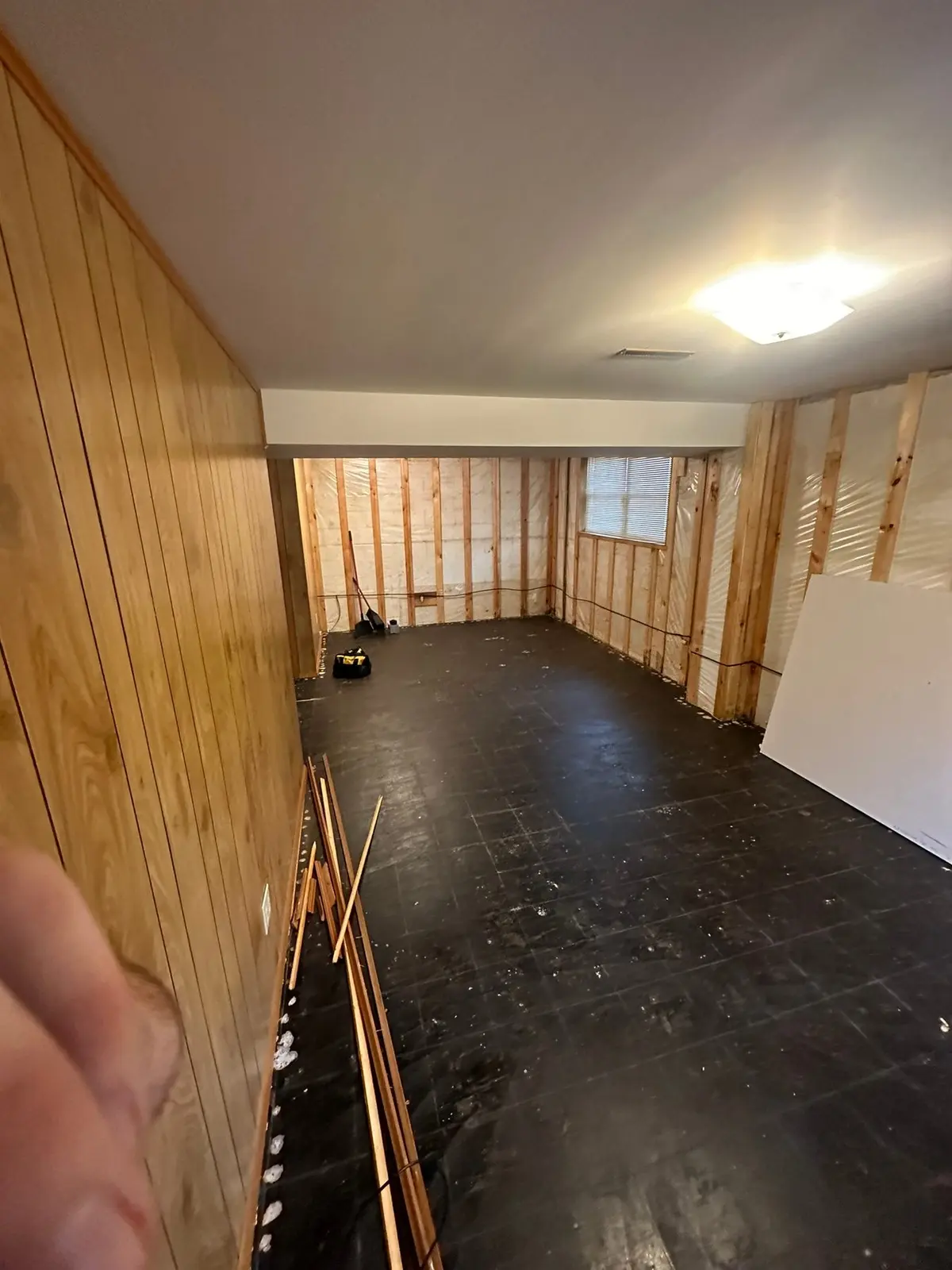 Lower-Level Remodel, Paneling to Drywall with New Floor — Demo photo 4