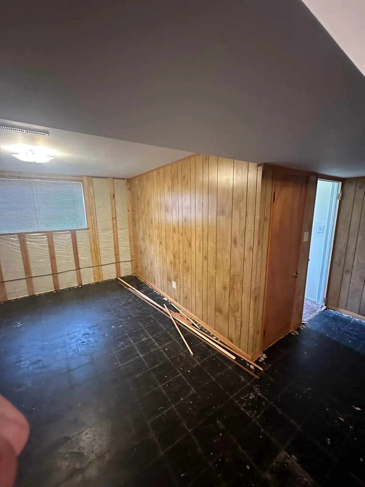 Lower-Level Remodel, Paneling to Drywall with New Floor — Demo photo 7