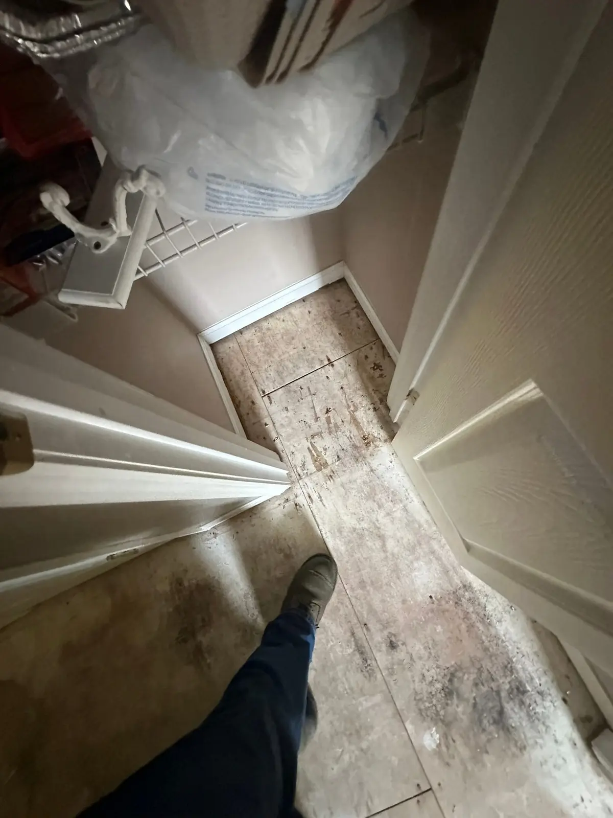 Whole-House Floor Tear-Out, New Subfloor and Wood-Look Plank — Demo photo 4