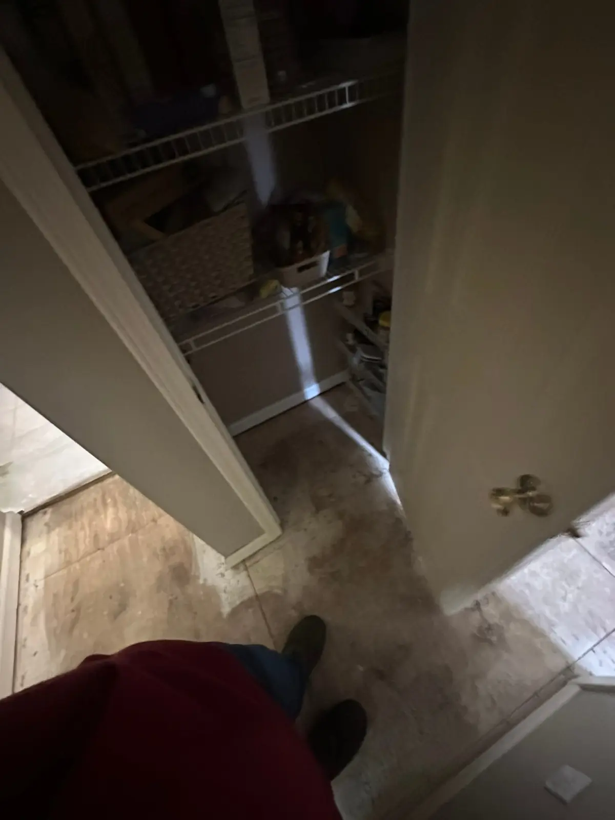 Whole-House Floor Tear-Out, New Subfloor and Wood-Look Plank — Demo photo 5