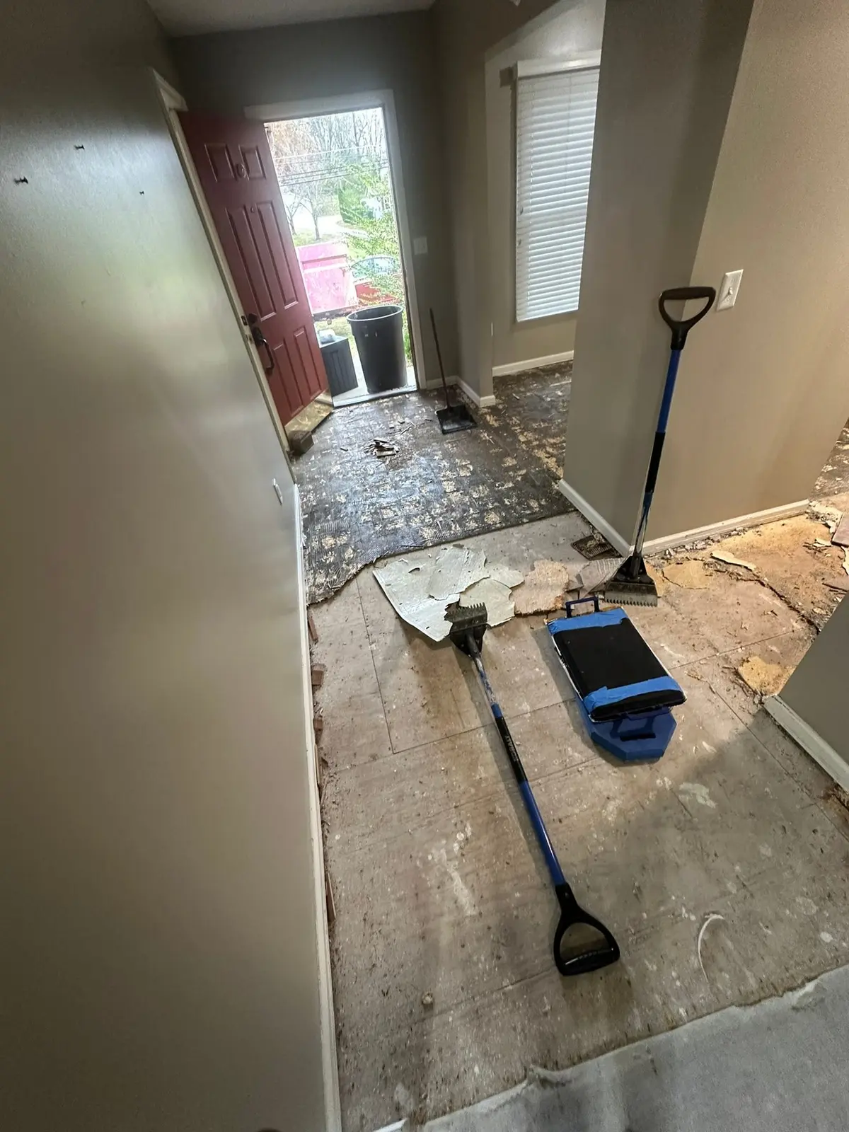 Whole-House Floor Tear-Out, New Subfloor and Wood-Look Plank — Demo photo 6