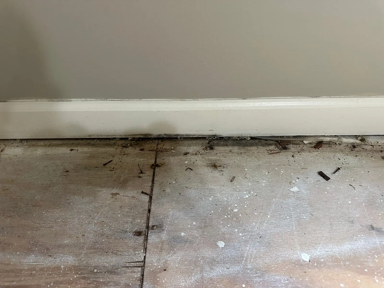 Whole-House Floor Tear-Out, New Subfloor and Wood-Look Plank — Demo photo 10