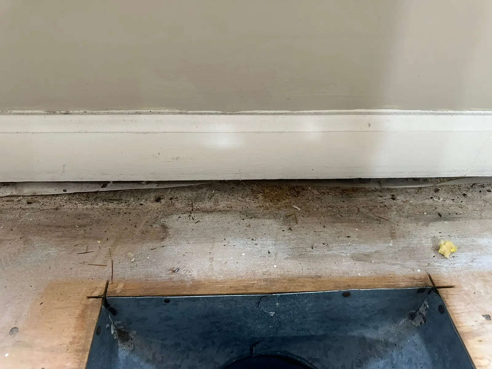 Whole-House Floor Tear-Out, New Subfloor and Wood-Look Plank — Demo photo 11