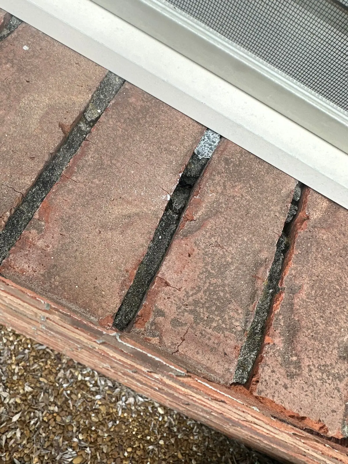 Whole-House Floor Tear-Out, New Subfloor and Wood-Look Plank — Demo photo 13