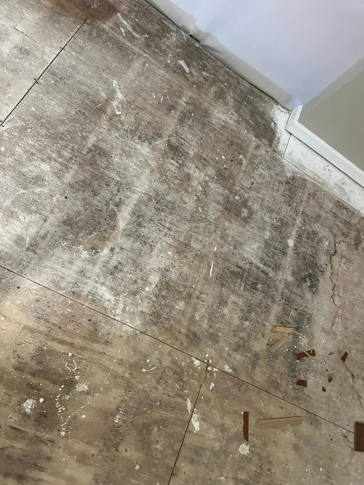 Whole-House Floor Tear-Out, New Subfloor and Wood-Look Plank — Demo photo 15