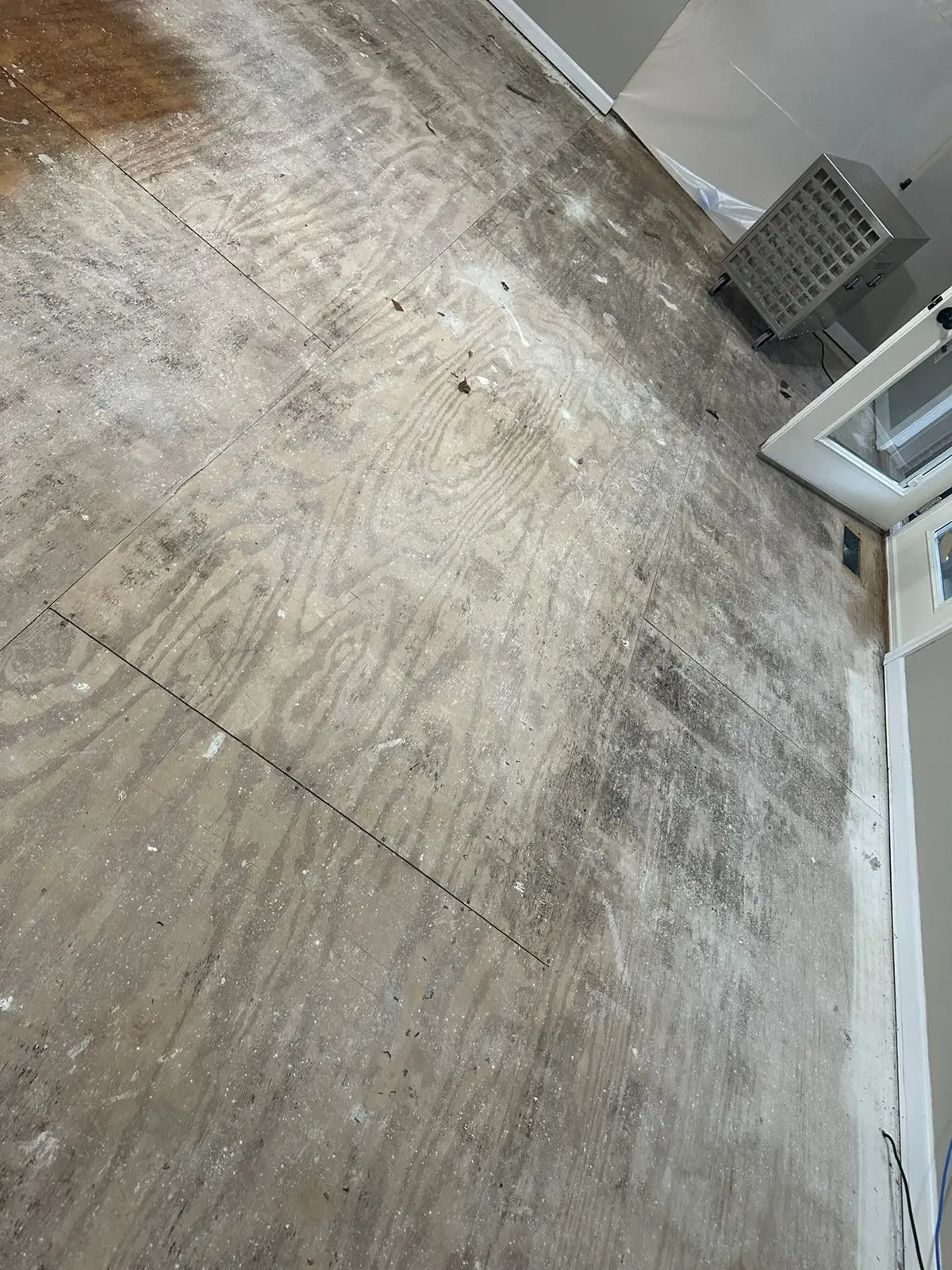Whole-House Floor Tear-Out, New Subfloor and Wood-Look Plank — Demo photo 17