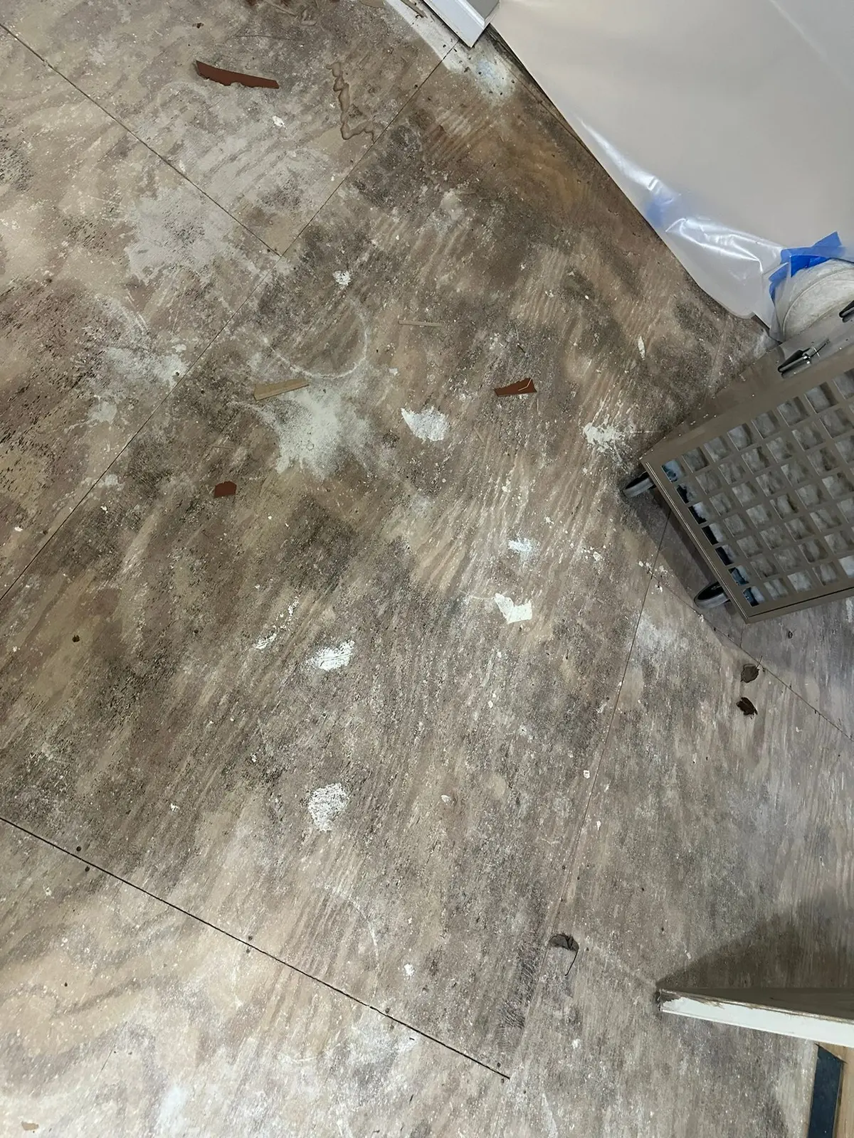 Whole-House Floor Tear-Out, New Subfloor and Wood-Look Plank — Demo photo 18