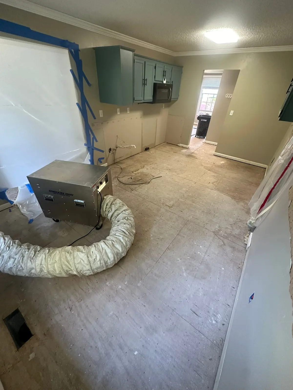 Whole-House Floor Tear-Out, New Subfloor and Wood-Look Plank — Progress photo 1