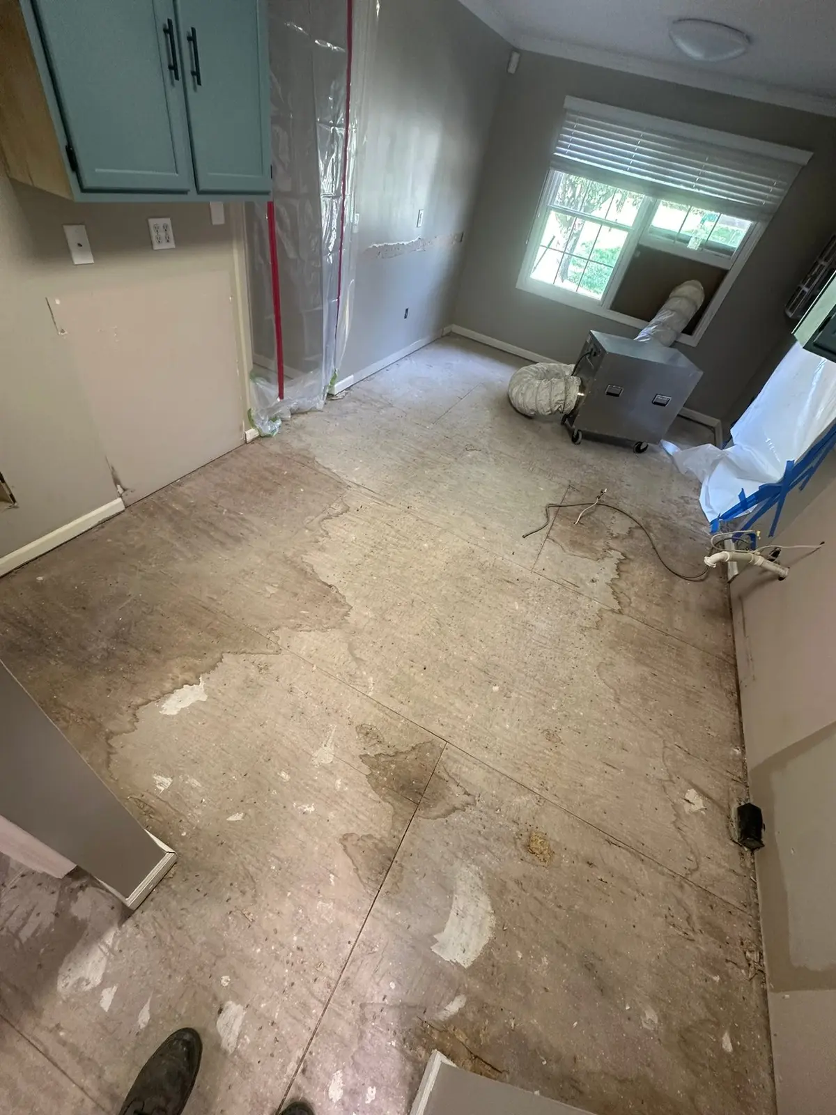 Whole-House Floor Tear-Out, New Subfloor and Wood-Look Plank — Progress photo 2
