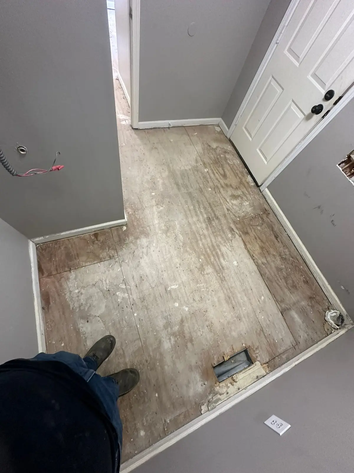 Whole-House Floor Tear-Out, New Subfloor and Wood-Look Plank — Progress photo 4
