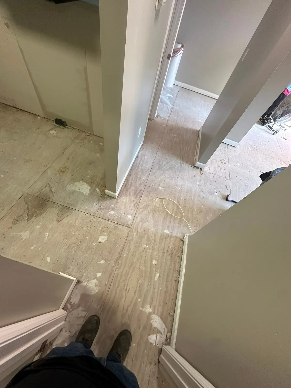 Whole-House Floor Tear-Out, New Subfloor and Wood-Look Plank — Progress photo 5