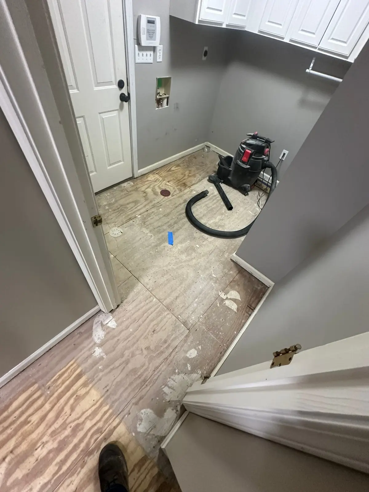 Whole-House Floor Tear-Out, New Subfloor and Wood-Look Plank — Progress photo 13
