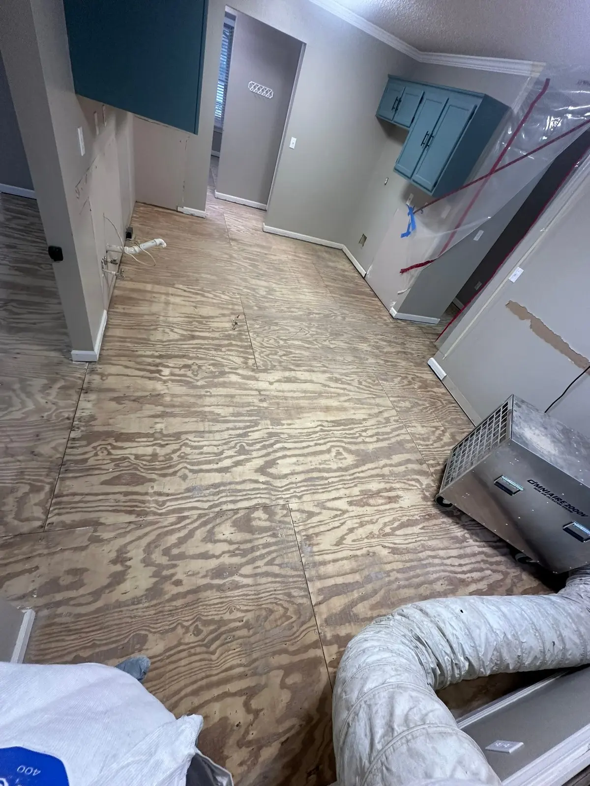 Whole-House Floor Tear-Out, New Subfloor and Wood-Look Plank — Progress photo 24
