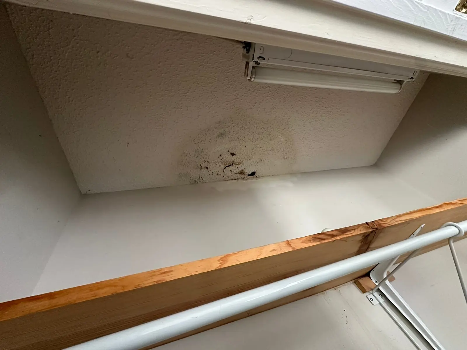 Closet Ceiling Repairs · original photo 2075