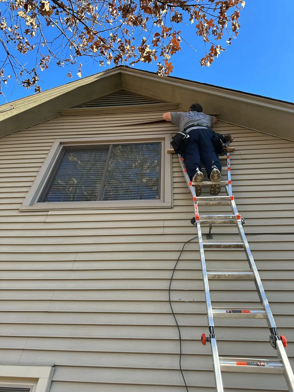 Exterior Window Work
