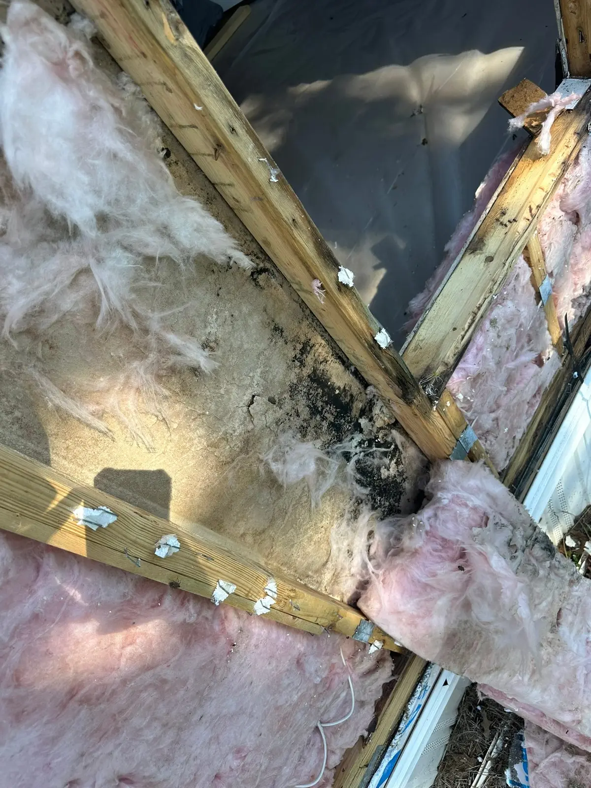 Mobile Home Wall Rebuild — Demo photo 6