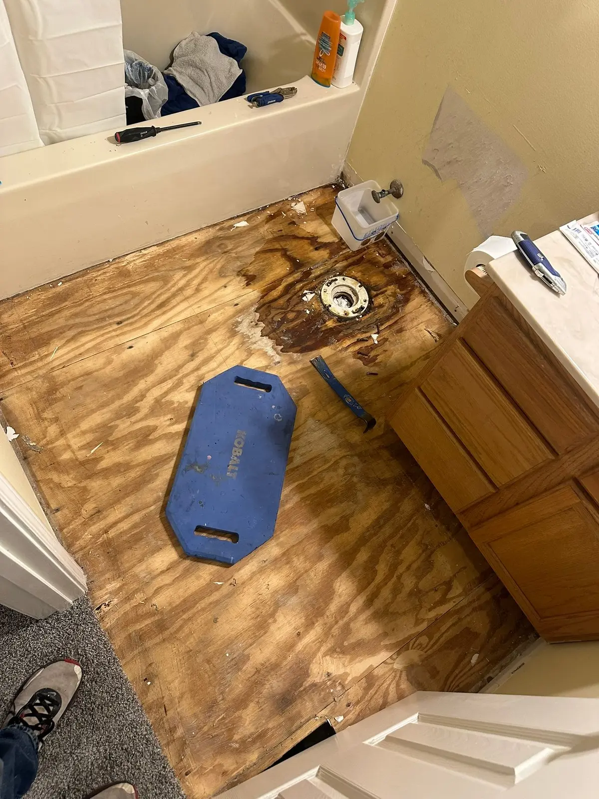 Bathroom Subfloor Repair and New Plank Floor — Demo photo 2