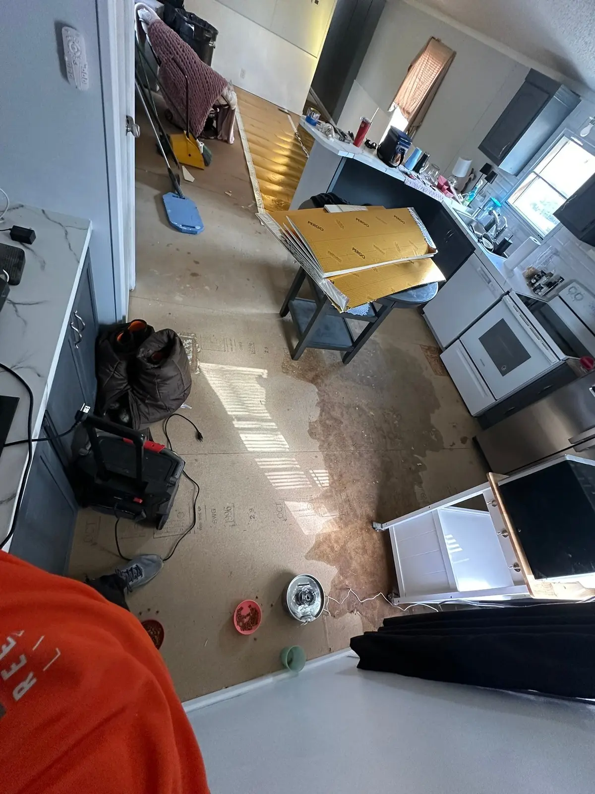 Kitchen, Hall, Bedroom and Bath Wood-Look Plank — Demo photo 2