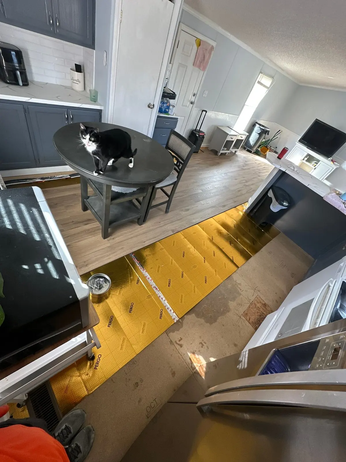 Kitchen, Hall, Bedroom and Bath Wood-Look Plank — finished photo 9