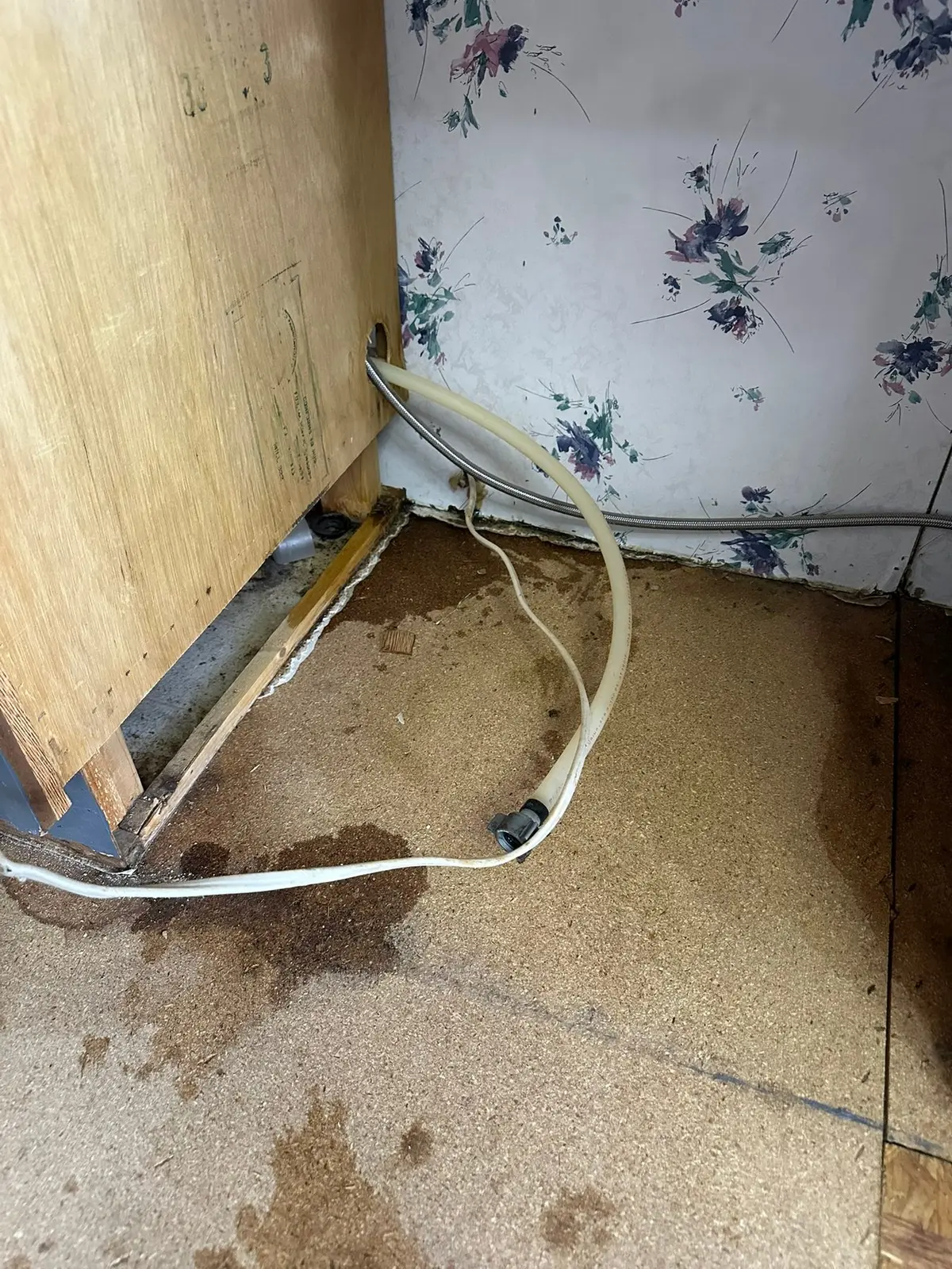 Kitchen, Hall, Bedroom and Bath Wood-Look Plank — Demo photo 3