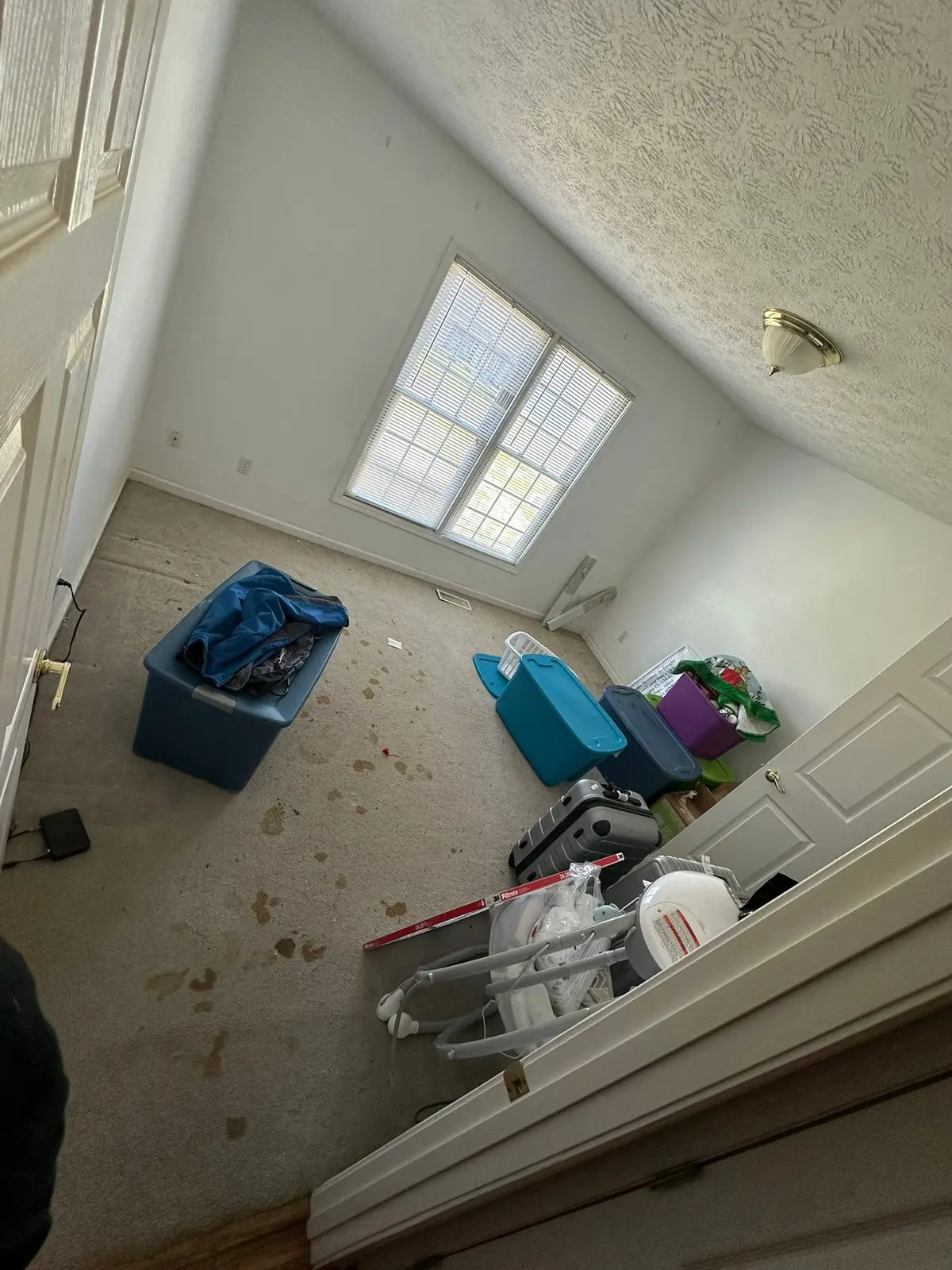 Carpet Tear-Out and Bathroom Subfloor Rebuild — progress photo 1