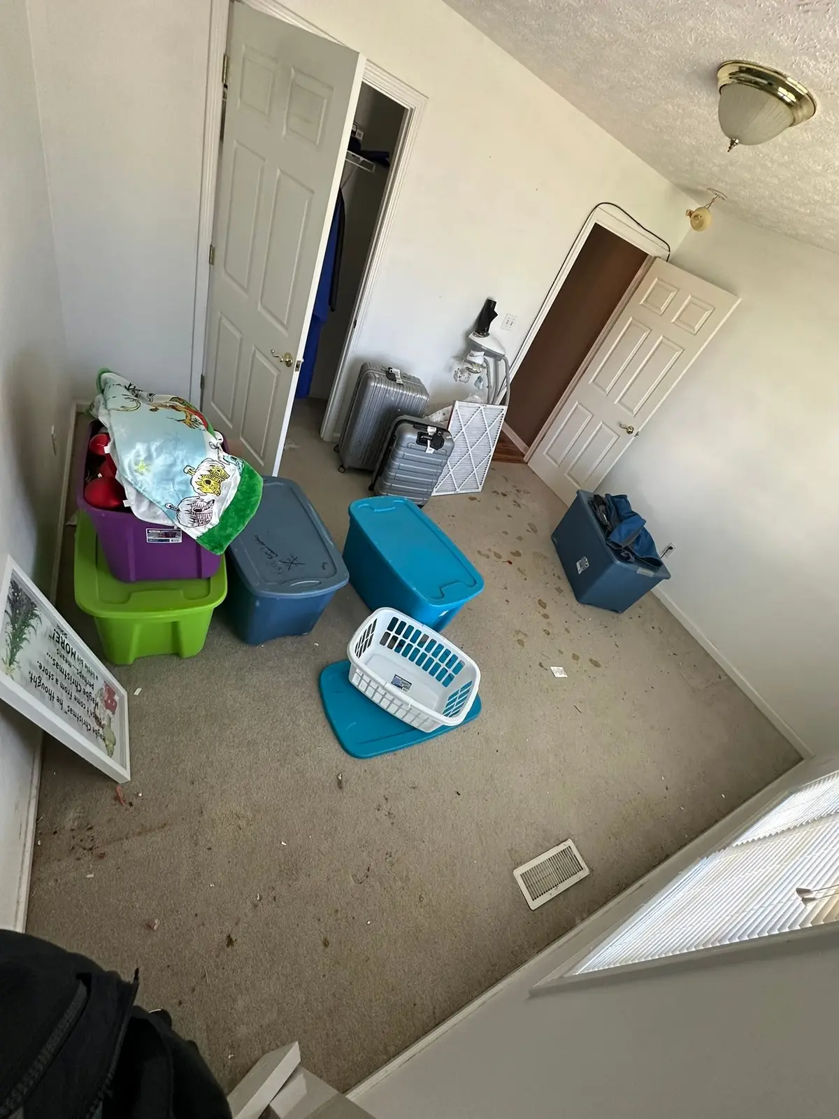 Carpet Tear-Out and Bathroom Subfloor Rebuild — Before photo 1