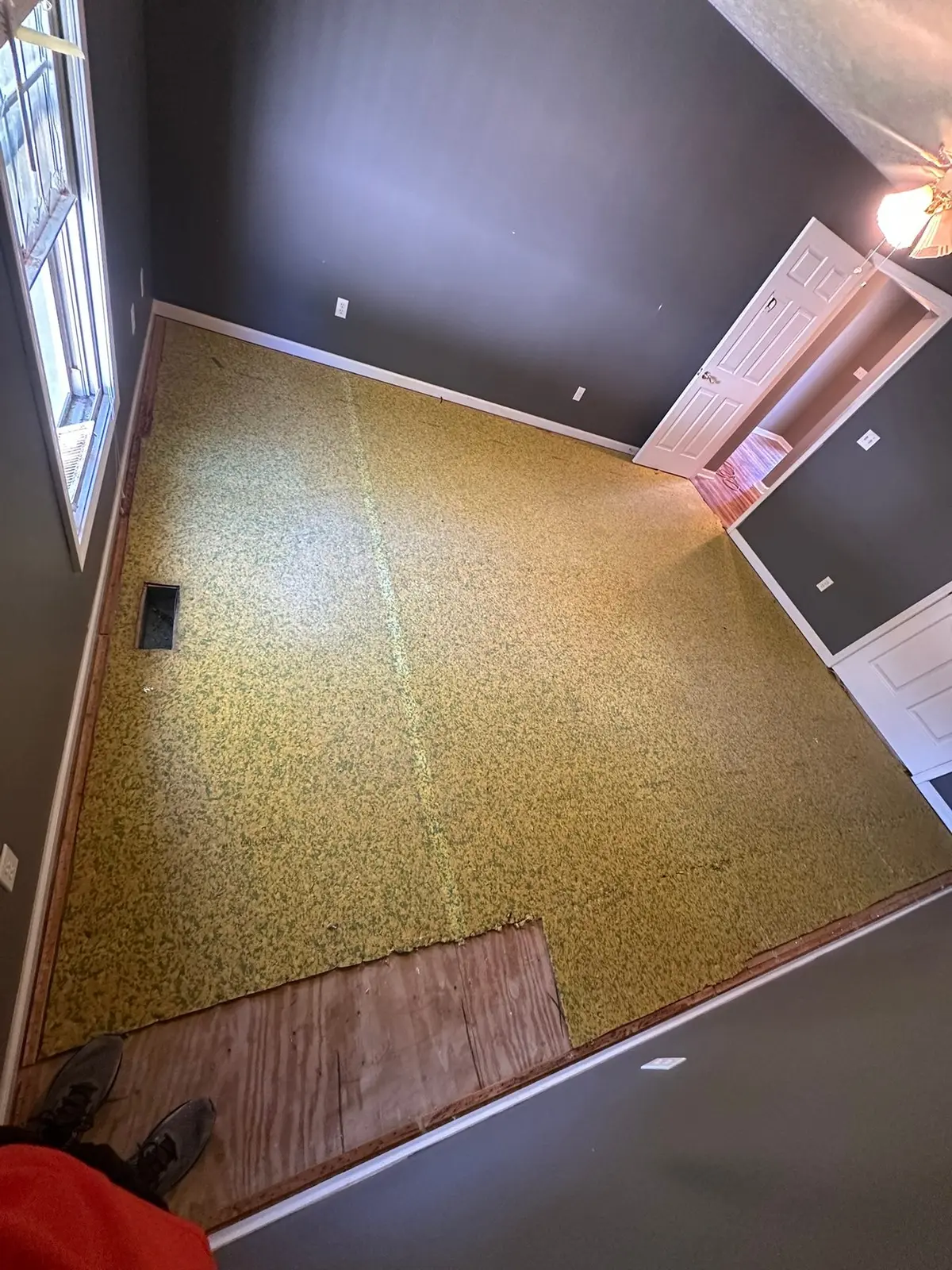 Carpet Tear-Out and Bathroom Subfloor Rebuild — progress photo 3