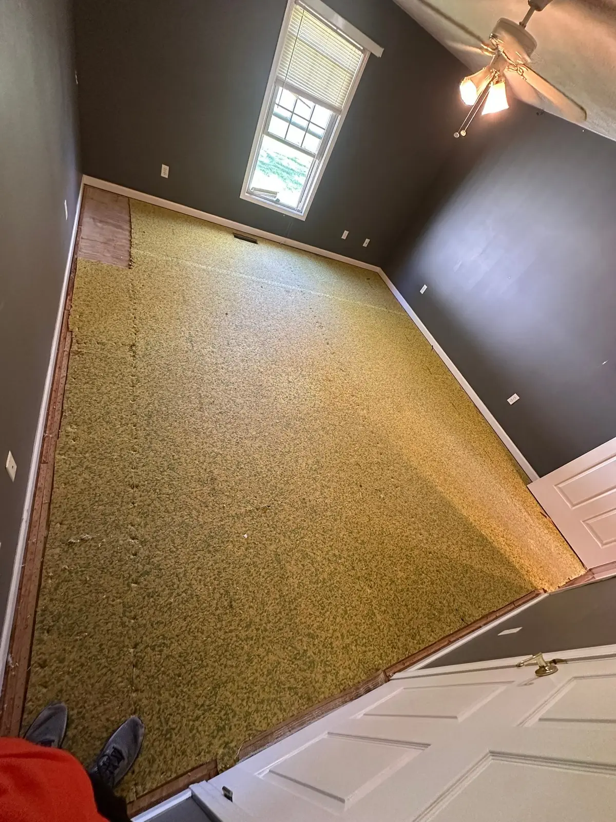 Carpet Tear-Out and Bathroom Subfloor Rebuild — progress photo 4