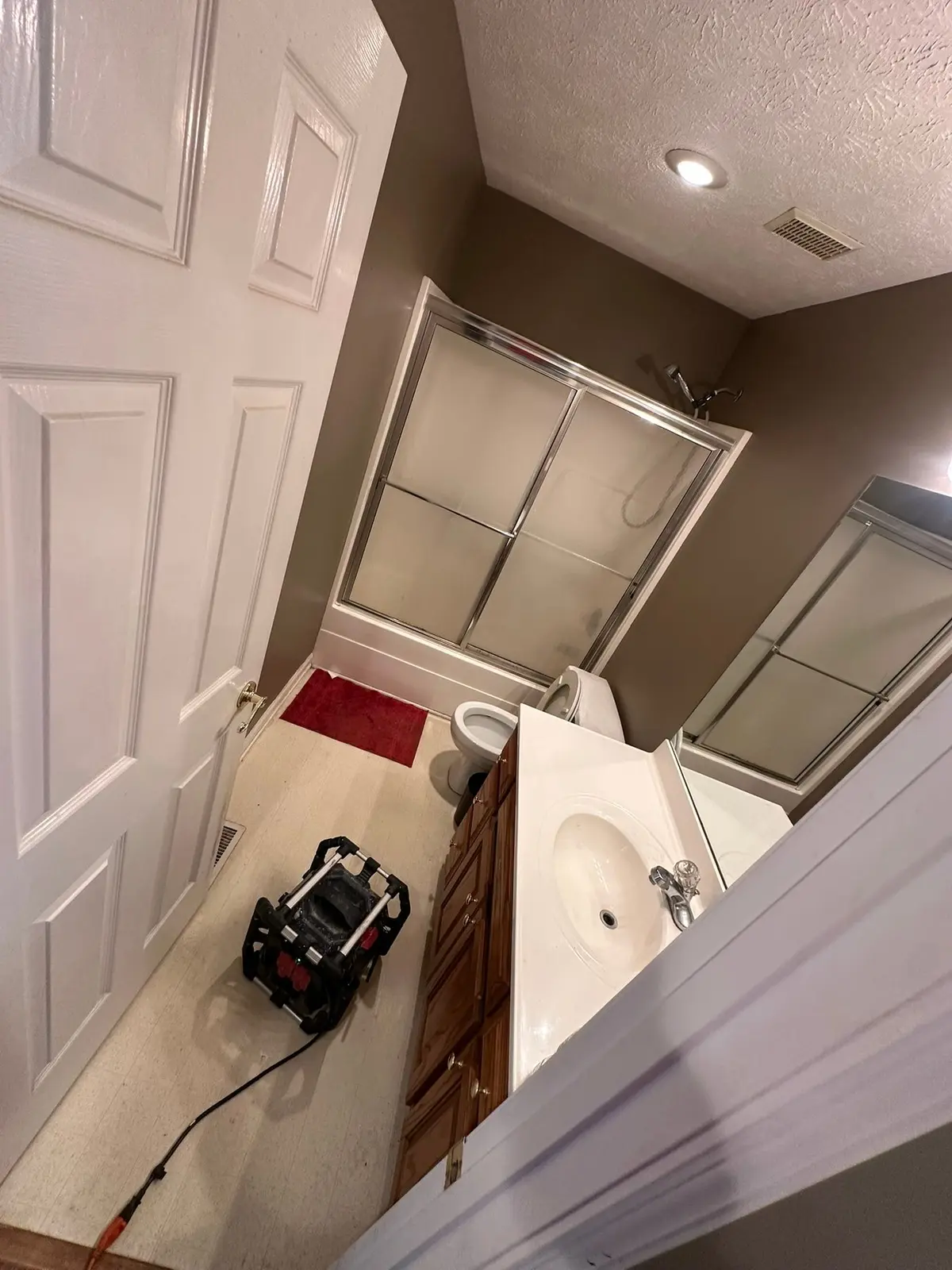 Carpet Tear-Out and Bathroom Subfloor Rebuild — Demo photo 1