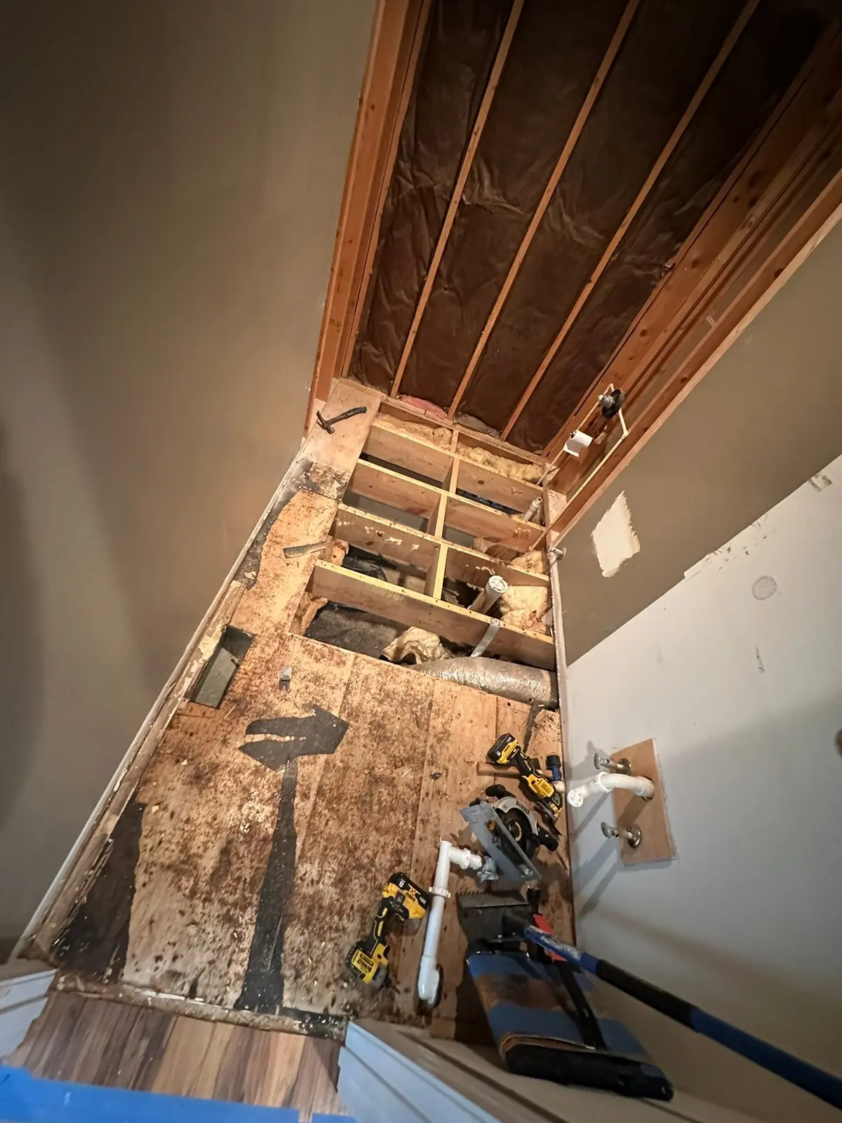Carpet Tear-Out and Bathroom Subfloor Rebuild — progress photo 2