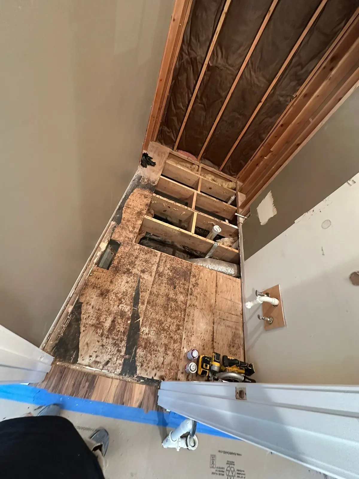 Carpet Tear-Out and Bathroom Subfloor Rebuild — progress photo 5
