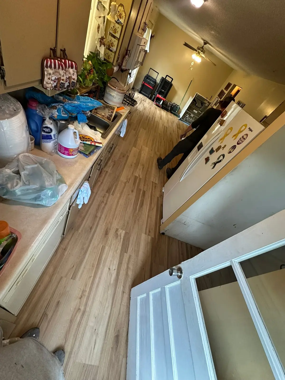 Light Wood-Look Plank in Hall, Kitchen and Living Room — finished photo 3