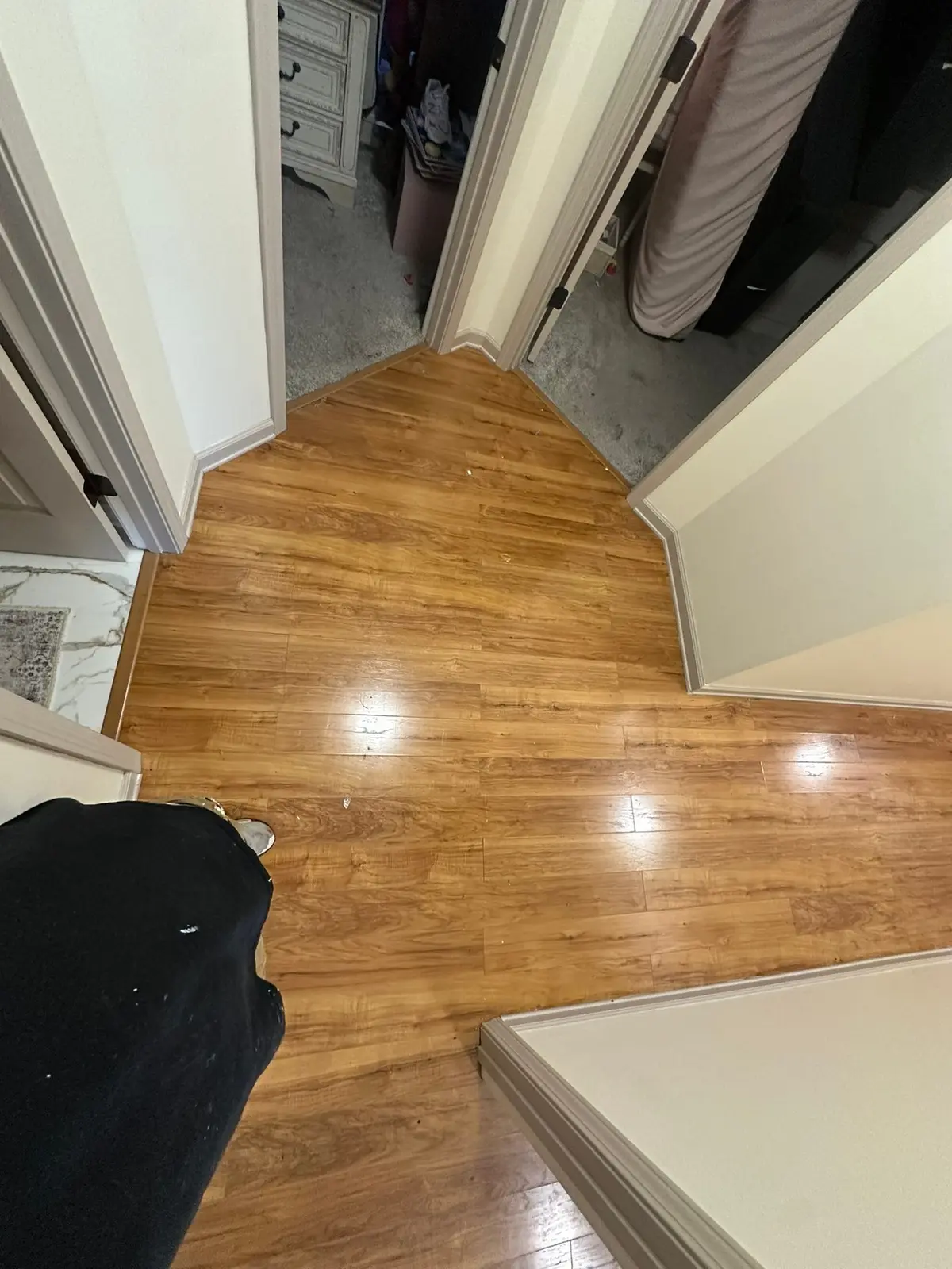 Dark Wood-Look Plank Through Main Living Areas — Before photo 4