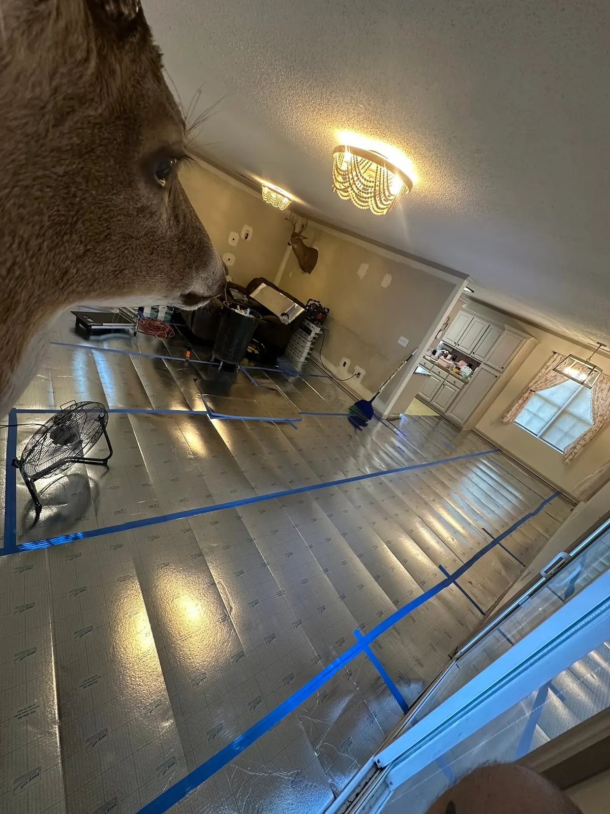 Dark Wood-Look Plank Through Main Living Areas — Progress photo 1