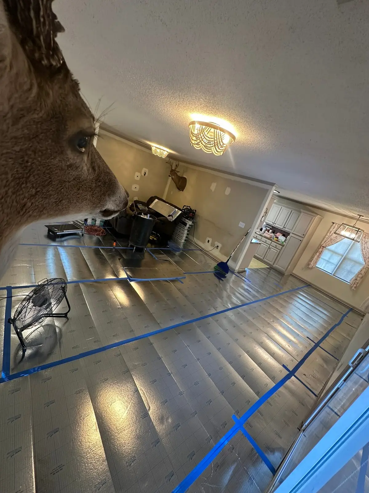 Dark Wood-Look Plank Through Main Living Areas — Progress photo 2