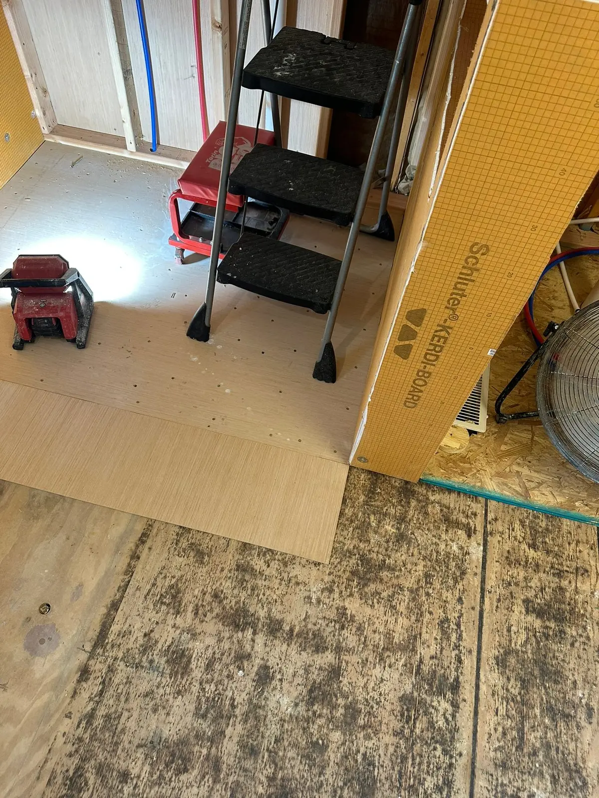 Garden-Tub Bath Gutted for New Tiled Shower — Progress photo 2