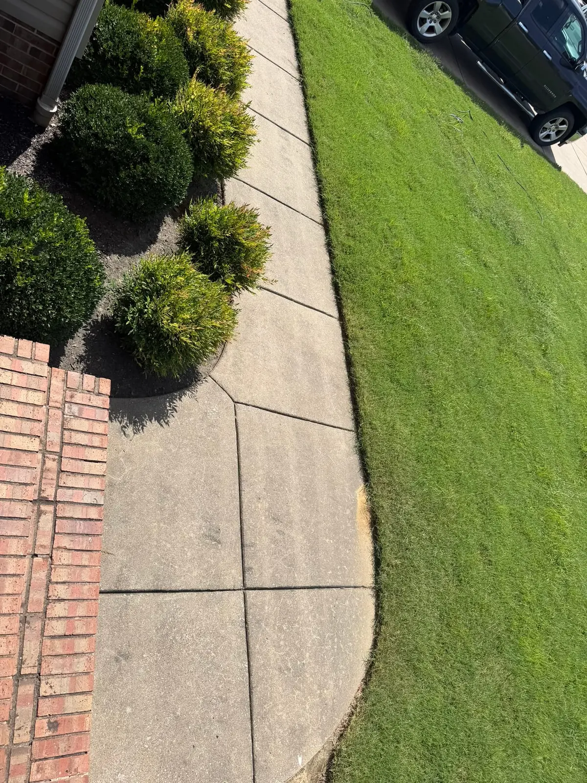 Driveway and Walkway Pressure Washing