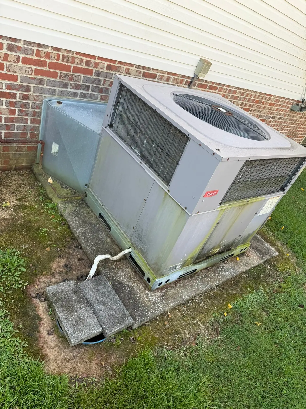 Vinyl-Sided House Washing and Exterior Photos — Progress photo 6