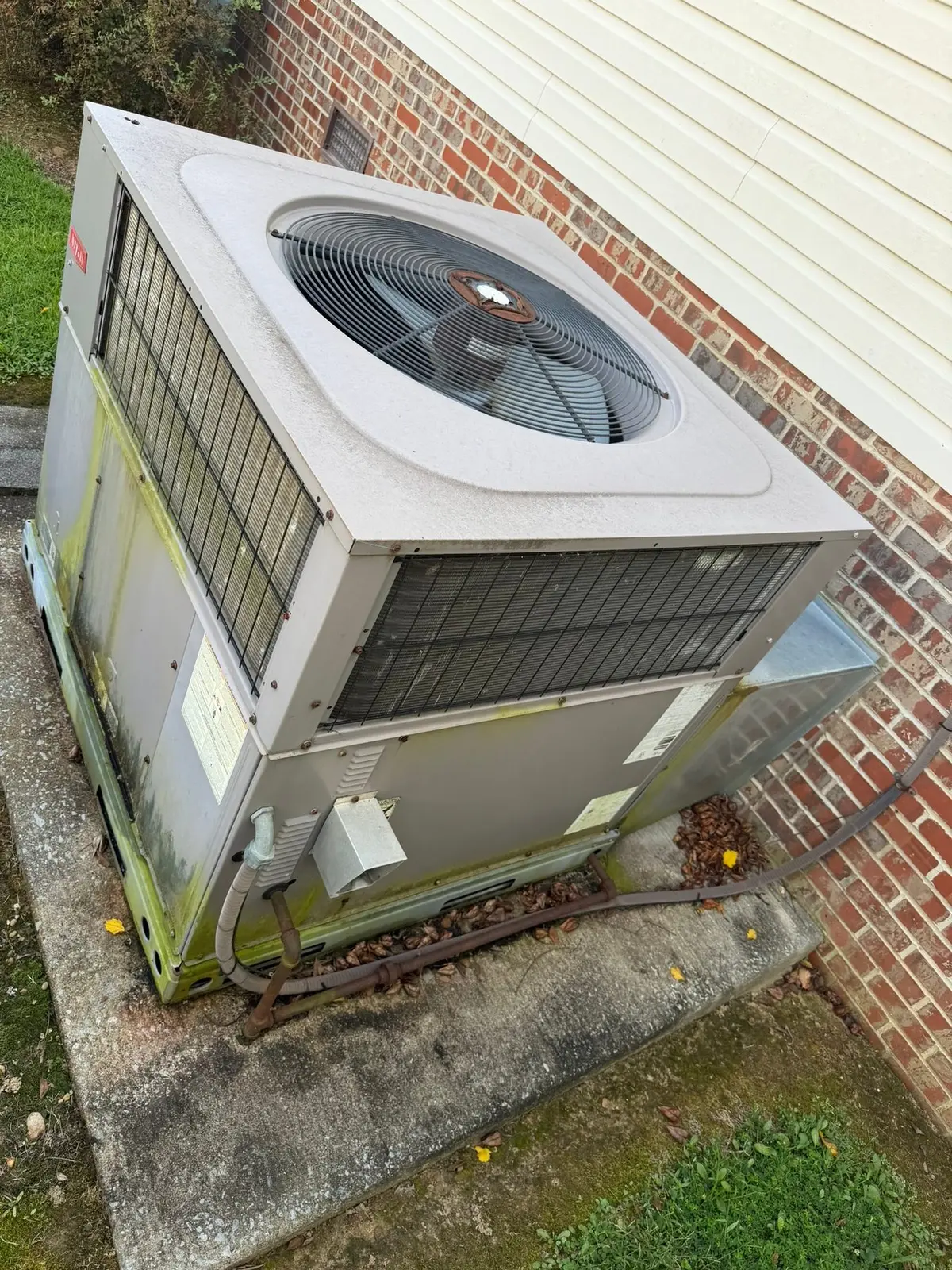 Vinyl-Sided House Washing and Exterior Photos — Progress photo 7